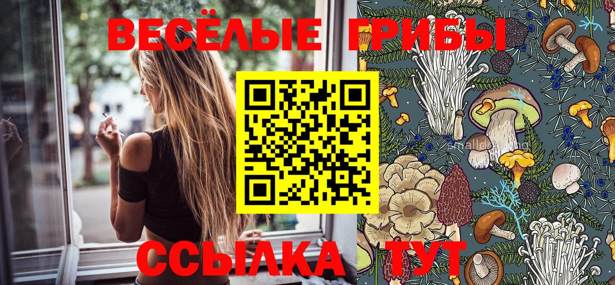 Галлюциногенные грибы Psilocybine cubensis  Вход с VPN  Кинешма  купить наркотик  Псилоцибиновые грибы Psilocybine cubensis 